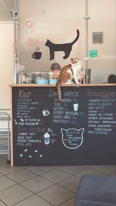 a cat sitting on top of a counter in front of a blackboard with writing