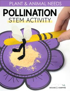 Animal Classification Stem Activities, Insect Steam Activities, Pollen Transfer Activity, Bees Kindergarten Activities, Bee Science Experiment, Bee Activity For Kids, Honey Bee Activities For Kids, Bee Lessons For Preschoolers, Agriculture Activities For Kids