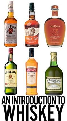 there are many different types of whiskeys in this photo and the caption reads, an instruction to whisky