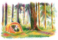 a drawing of a tent in the middle of a forest with trees and grass around it