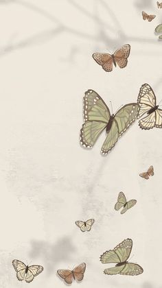 a group of butterflies flying in the air