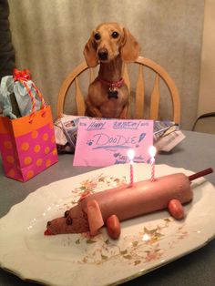 a dog sitting at a table with a birthday cake and hotdog on a plate