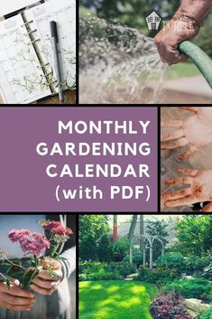 the month's gardening calendar with pictures of flowers, trees and plants in it