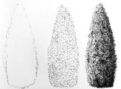 three different types of trees are shown in black and white, each with their own unique shape