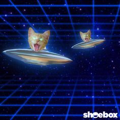 two cats that are floating in the air on top of a computer screen, with space behind them