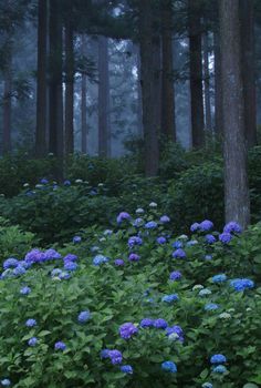 the blue flowers are blooming in the woods near trees and bushes on a foggy day