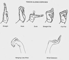 World of occupational therapy: Nerve and Tendon Gliding Exercise Ulnar Nerve, Occupational Therapy Assistant, Therapy Exercises, Occupational Therapy Activities