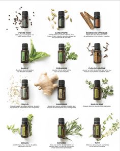 Oud Perfume, Doterra Oils, Perfume Oil, Perfume Oils, Massage, Essence