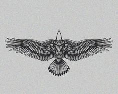 a black and white drawing of a bird with its wings spread out in the air