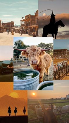 a collage of images with horses, cows and people in the middle one has a cowboy on horseback