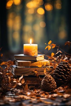 a stack of books with a lit candle sitting on top of it next to some pine cones