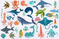 various sea animals and fish are depicted in this illustration