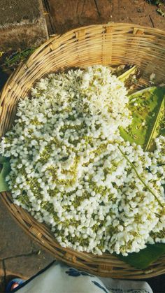 a basket filled with white flowers sitting on top of a sidewalk