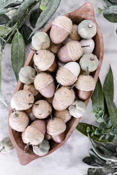 sea shells in a wooden bowl on a marble surface surrounded by leaves and foliage, top view