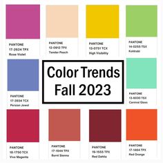 the color chart for fall 2013, including pantone's and pantone's