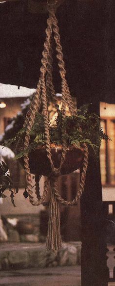 a potted plant hanging from a pole with rope and lights in the back ground