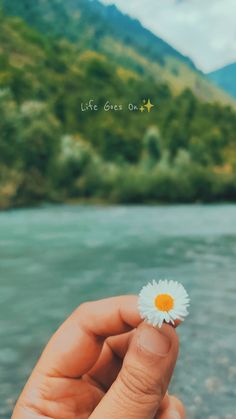 Wallpapers Tiktok Photo, Inspirational Quotes Background, Look Up Quotes, Instagram Inspiration Posts