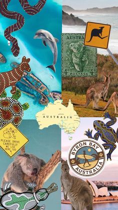 australia collage with kangaroos, koala and other australian emblems on it