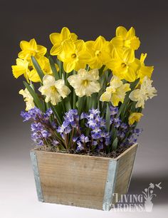 a wooden box filled with yellow and purple flowers