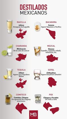 the world's most alcoholic beverages infographical poster - spanish / english version