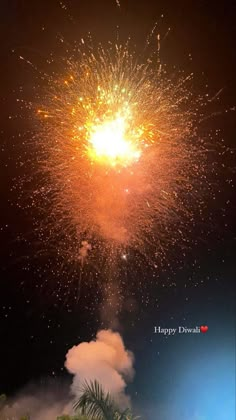 fireworks are lit up in the night sky with palm trees and blue sky behind it