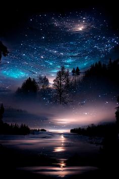 the night sky is filled with stars and trees