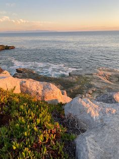 the sun is setting over the ocean with rocks and plants growing on it's shore