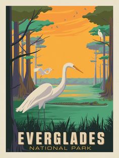 an image of evergladess national park poster