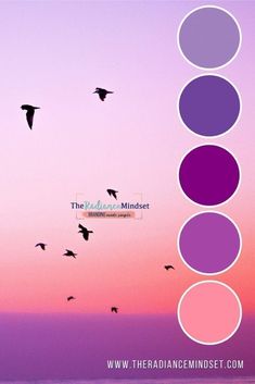 birds are flying in the sky and there is a color wheel with different colors on it