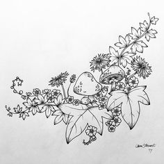 a pencil drawing of flowers and mushrooms