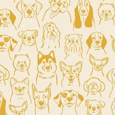 a bunch of dogs that are drawn in yellow on a white background with orange outlines