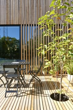 a table and chairs on a wooden deck next to a potted plant with green leaves