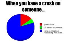 a pie chart that says when you have a crush on someone