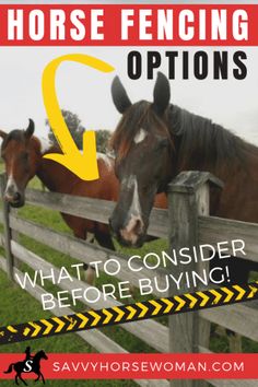 two horses standing next to each other behind a fence with the words, horse fencing options what to consider before buying