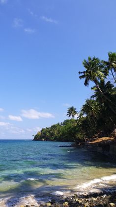 the beach is surrounded by palm trees and blue water with waves coming in from the shore