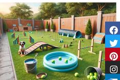 an image of a dog playing in the backyard with his toys and water play area