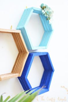 three wooden hexagonals are hanging on the wall next to a potted plant