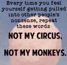 a black and white photo with the words not my circus, not my monkeys