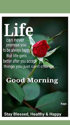 If you are looking for the latestbest good morning wishes in 2020 don't worry here are 155good morning messages to send your familyfriendsand loved ones Month Inspiration, Inspirational Good Morning Messages, Life Gets Better, Beautiful Morning Quotes, Good Morning Sweetheart Quotes, Good Morning Spiritual Quotes