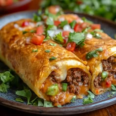 two burritos on a plate topped with meat, cheese and veggies