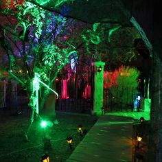 an outdoor walkway lit up with green and red lights, surrounded by trees and bushes