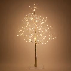 a lighted tree with white lights in the shape of leaves on a clear stand against a light brown background