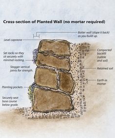 the cross section of planted wall no mortar required is shown in this graphic above it's description