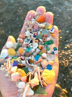 a hand is full of sea glass and shells