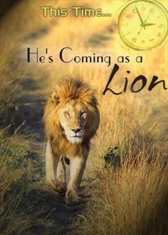 a lion walking down a dirt road with a clock in the background that says, he's coming as a lion