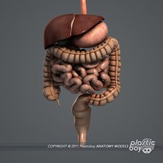 an image of a human body made out of food