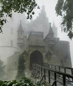 an old castle in the fog on a rainy day with stairs leading up to it