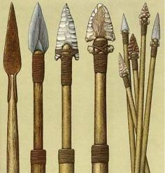 an image of different types of canes