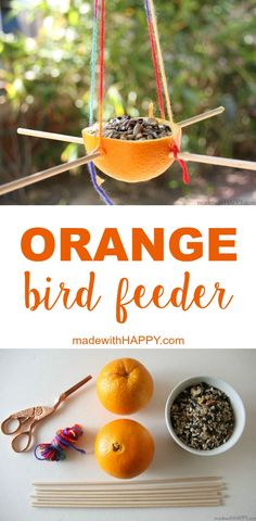 an orange bird feeder is shown with the words orange bird feeder in front of it