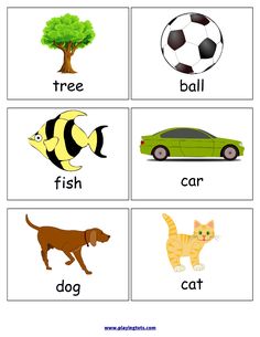 the words in this worksheet are english and have pictures of animals, fish, car